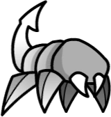 Spider014