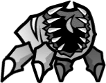 Spider024