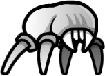Spider026