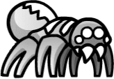 Spider046